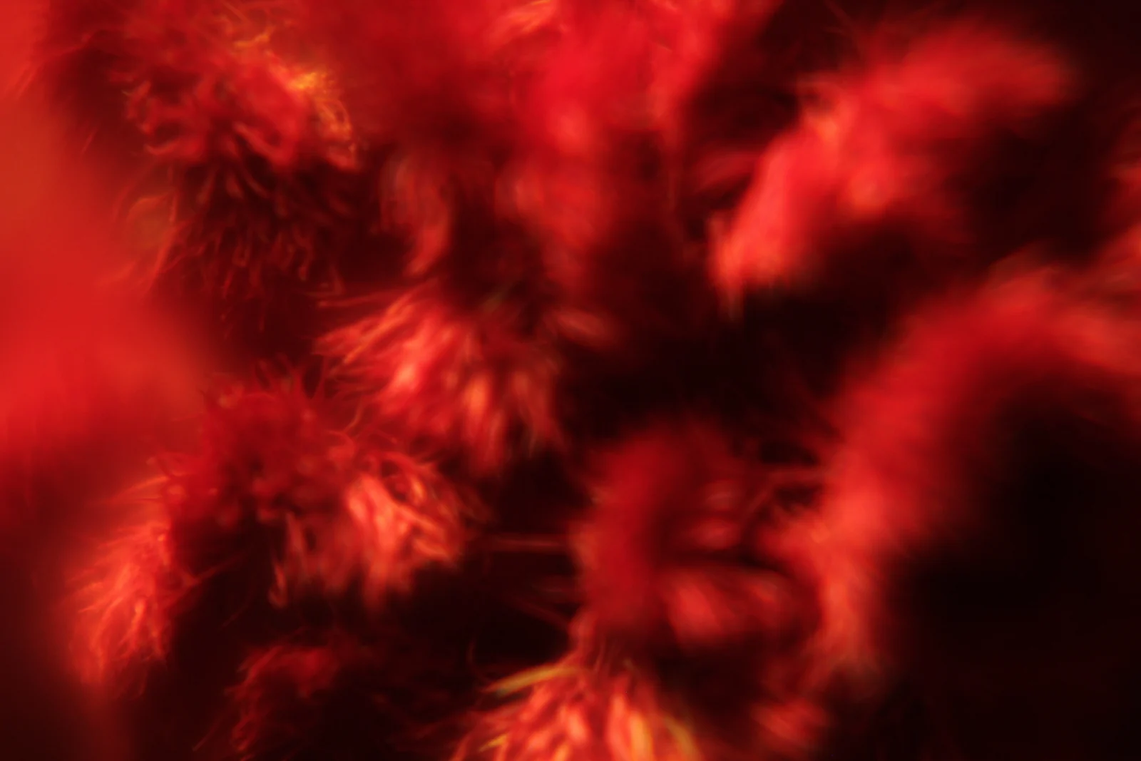 Macro abstracta de fibras rojas
